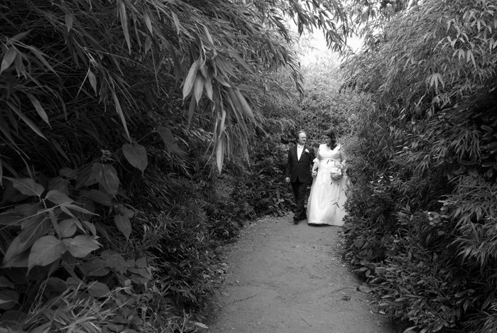 The bride and groom photographed as they walk through the grounds of Dublin Zoo