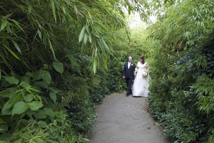 The bride and groom photographed at Dublin Zoo