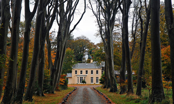 property photograph for The New York Times